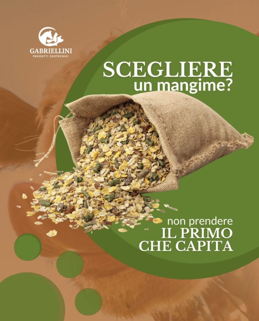 screenshot 20260126 124440 instagram