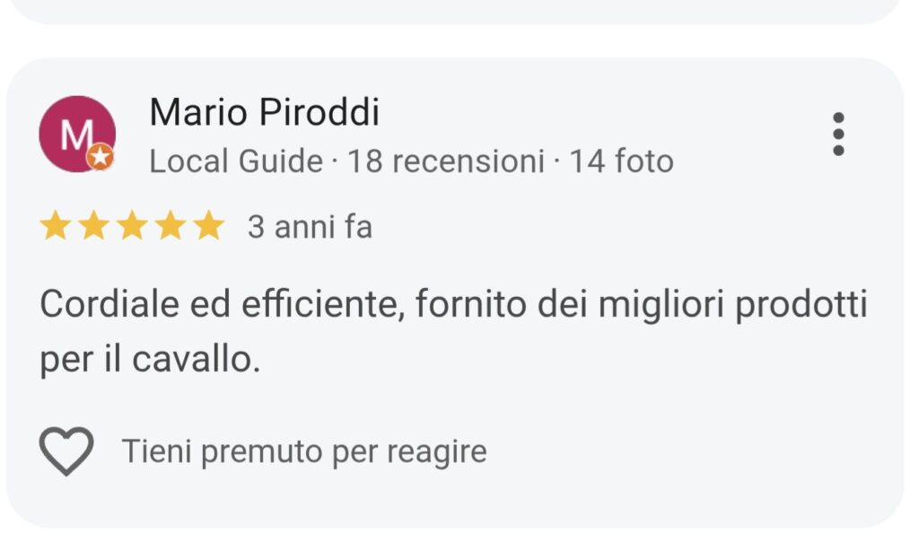 recensione google