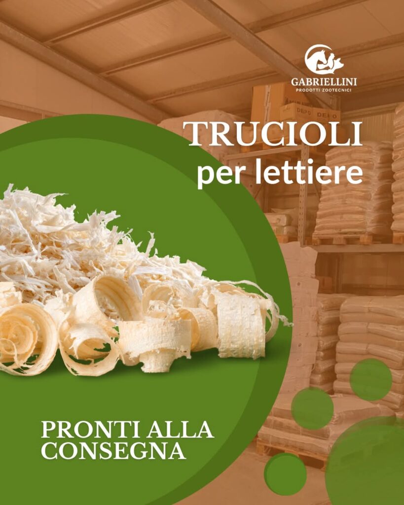 fb img 1769428215977