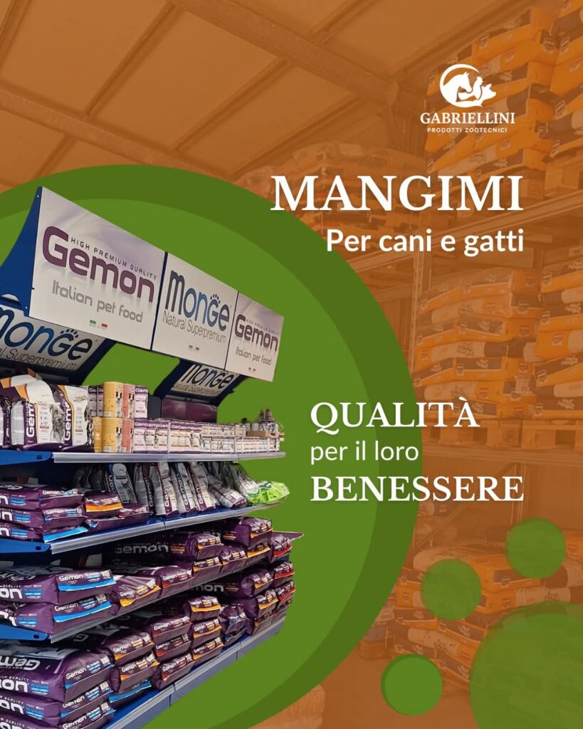 fb img 1769428238678