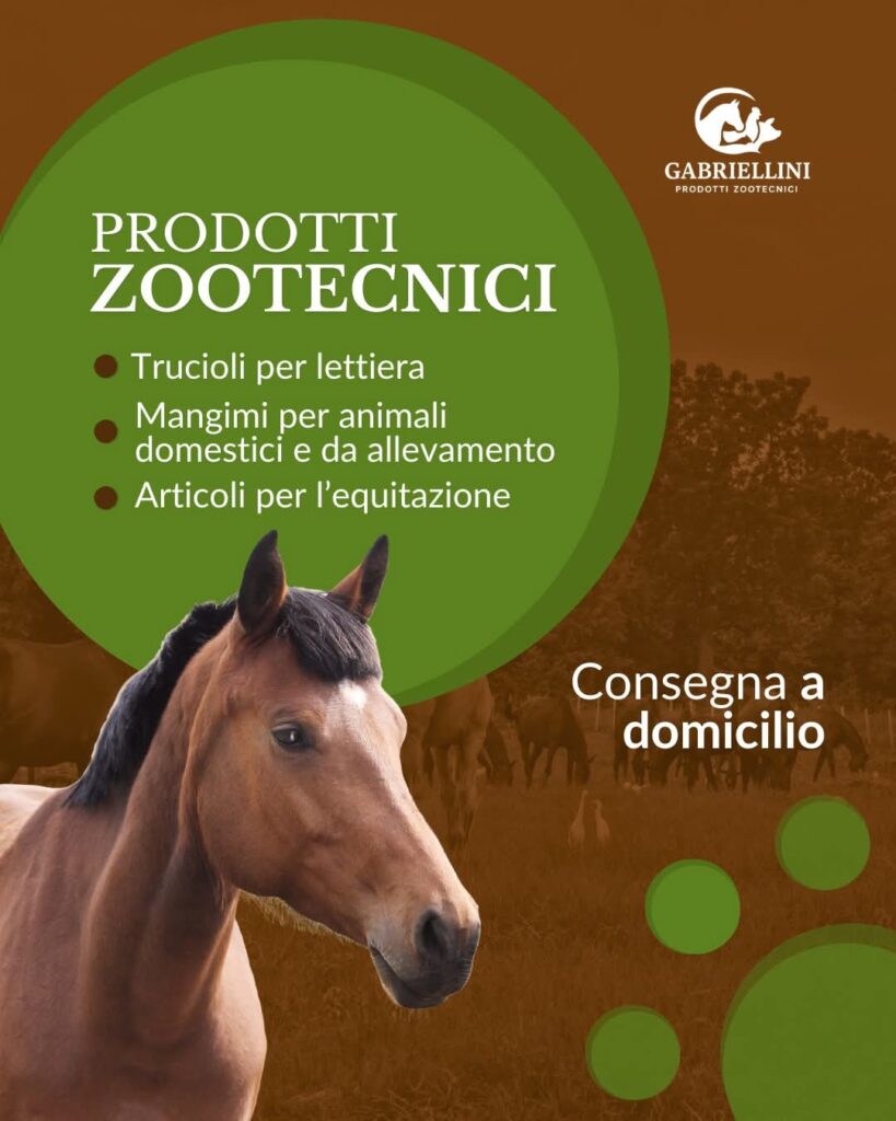 fb img 1769428261481