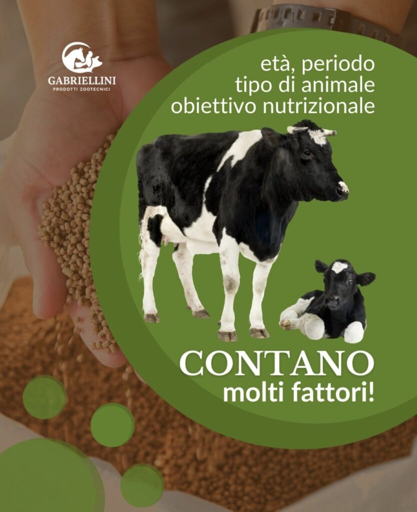 screenshot 20260126 124506 instagram