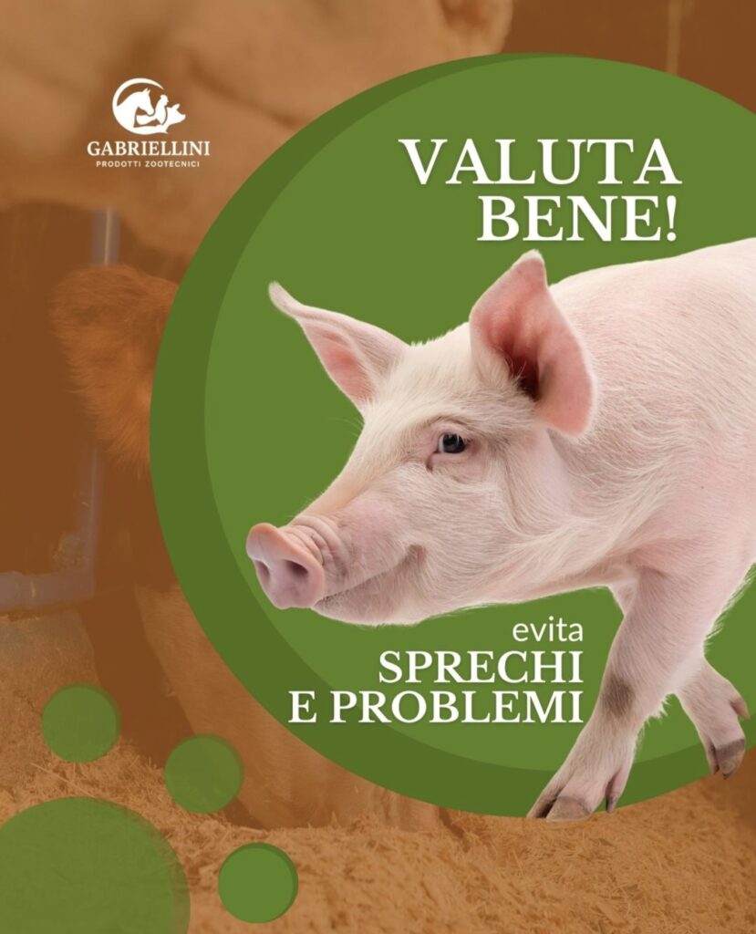 screenshot 20260126 124515 instagram