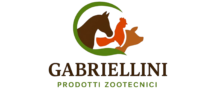 Gabriellini srl